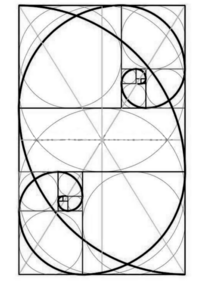 黄金比ってこの構図ならどんな形にずらしても転載した画像のように二重にしても Yahoo 知恵袋