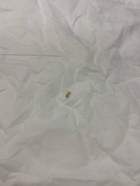 耳の病気 解決済みの質問 Yahoo 知恵袋