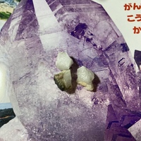 岩石 鉱物について 最近子供が石に興味をもちはじめ 海辺の岩にく Yahoo 知恵袋