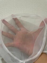 くら寿司で働いてるものです。前から気になってたんですが、この帽子の