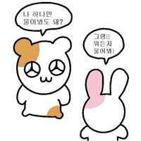 韓国で人気 のうさぎのキャラの名前わかりますか 白いうさぎです Yahoo 知恵袋