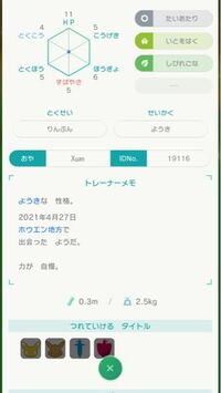 ポケットモンスターリーフグリーンのわざわすれじいさんはどこにいましたっけ Yahoo 知恵袋