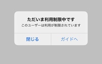 メルカリ利用制限について。【至急お願い致します。】 - 先程私が