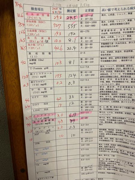 nfk様初めまして。お忙しいところ申し訳ありませんが、よろしくお願い 