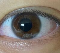 僕の目は暗い茶色と明るい茶色どちらですか Yahoo 知恵袋