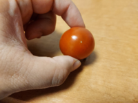 収穫したプチトマトに白い斑点が出来てしまっていたのですが 食べら Yahoo 知恵袋