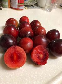 このスモモの品種は何ですか 種なしソルダム 完熟 だと思いますこの画 Yahoo 知恵袋