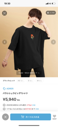 このadrer っていうブランドのこのtシャツを以前友人が着てい Yahoo 知恵袋