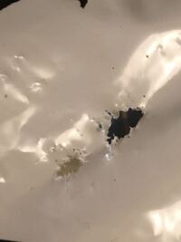 ビニールの米袋に謎の穴が空いていたのですがこれは虫によるものでしょうか Yahoo 知恵袋