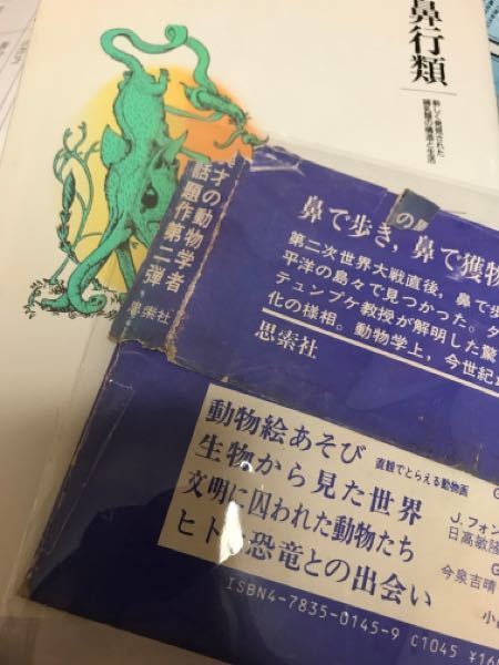 本の帯の直し方 破れた本の帯を直したいのですが うまく直す方法や 直し Yahoo 知恵袋