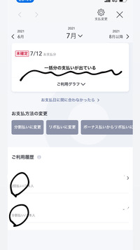 アプラスで一括払いで支払ったものを1件だけ個別分割払いに変更したく Yahoo 知恵袋