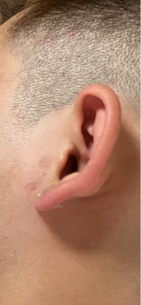 ピアスがバレない髪型を教えてください ショートボブ Yahoo 知恵袋