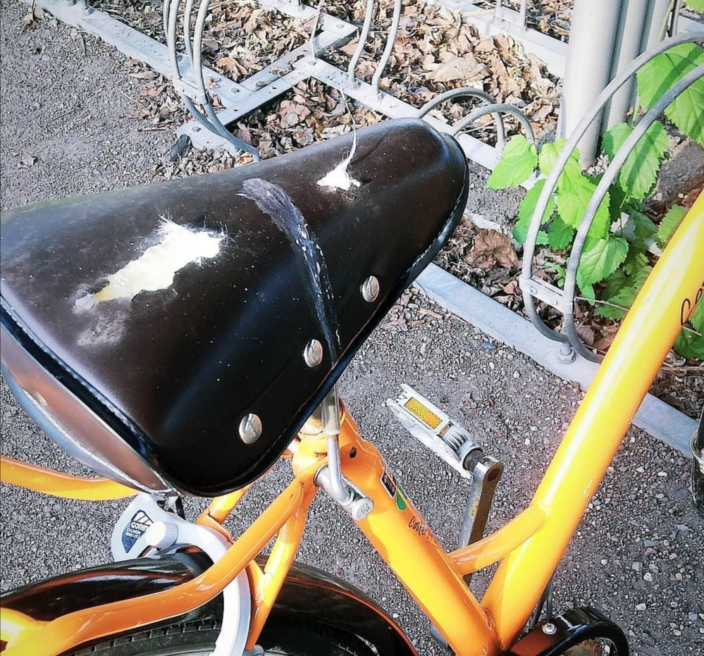 カラス 自転車 サドル 理由