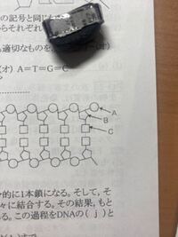 言語的コミュニケーションで正しいのはどれか 1伝えて意思が正確にあ Yahoo 知恵袋