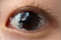 上目遣いをすると一重になって睨んでるみたいになっちゃうんですけ Yahoo 知恵袋