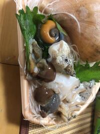 ツブの肝の食べ方を教えてください 食べられるものかどうか Yahoo 知恵袋