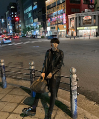 少年の日の思い出の登場人物エーミールの有名なセリフの中に そうかそうか つま Yahoo 知恵袋