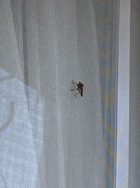 獣医学部への学士編入などを体験された方にぜひ質問したいのです Yahoo 知恵袋