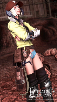 Ff14のリテイナーを園芸師にした場合 70から80のレベル上げの Yahoo 知恵袋