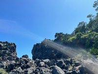 Dsドラクエ３でひかりのドレスは１つしか入手できませんか すごろくがないゾ Yahoo 知恵袋