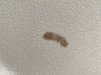 すいません質問なんですがふと車の天井を見上げたら覚えのない汚れがついてい Yahoo 知恵袋