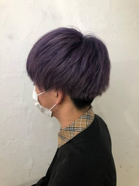 ヘアカラー紫1か月前にブリーチ1回今は色が抜けて金髪です 画像のような紫は Yahoo 知恵袋