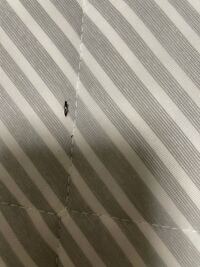 2日連続虫の質問です たった今自宅に1匹の虫が飛んでました よくみたらやけど虫 Yahoo 知恵袋
