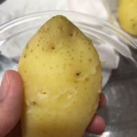 ジャガイモのくぼみからでてるこの黒くて短いひげ のようなものは芽 Yahoo 知恵袋