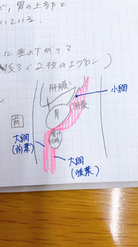 車を買いたいのですが130万くらいの車をローンで買うとすると利子はいく Yahoo 知恵袋