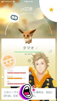 ポケモンgoについての質問です このイーブイって何に進化させた方がい Yahoo 知恵袋