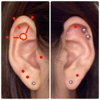ピアス開けたいんですけどバランス悪いですか 絶対ここ開け Yahoo 知恵袋