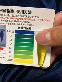 45センチ水槽にメダカ コリドラス ラムズホーン エビを入れてるんですけど Yahoo 知恵袋