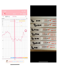妊活半年目です 今回から排卵検査薬ドゥーテストを初めて使いました 基礎体温 Yahoo 知恵袋