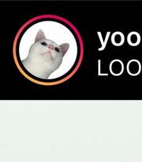 このような韓国女子のインスタの可愛い猫とかの 背景が白い画像 とかって Yahoo 知恵袋