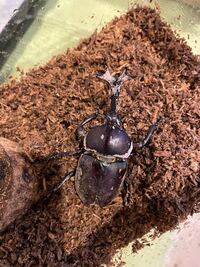 アニメイト名古屋店は大きい店舗ですか 東海地方の中では一番大きいと思いま Yahoo 知恵袋