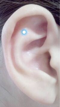 ピアスについて この写真の点の位置がアウターコンクと言われる Yahoo 知恵袋