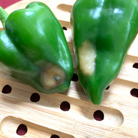 ピーマンの実の白抜け ベランダでピーマンを育てています なってきた実 Yahoo 知恵袋