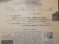 カタカナ四文字でかっこいい言葉を教えて下さい Yahoo 知恵袋