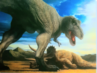 Mh4g 有難ネコ迷惑 を使ったオススメ装備を御教授ください 皆様のお Yahoo 知恵袋