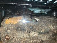 カブトムシくんに打ち木を買ったんですけどこれデカすぎましたかね ちょっと窮 Yahoo 知恵袋