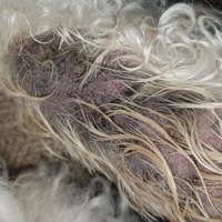 三浦春馬さん 自死の前夜にキンキーブーツ衣装を処分していたとの報道に涙が Yahoo 知恵袋