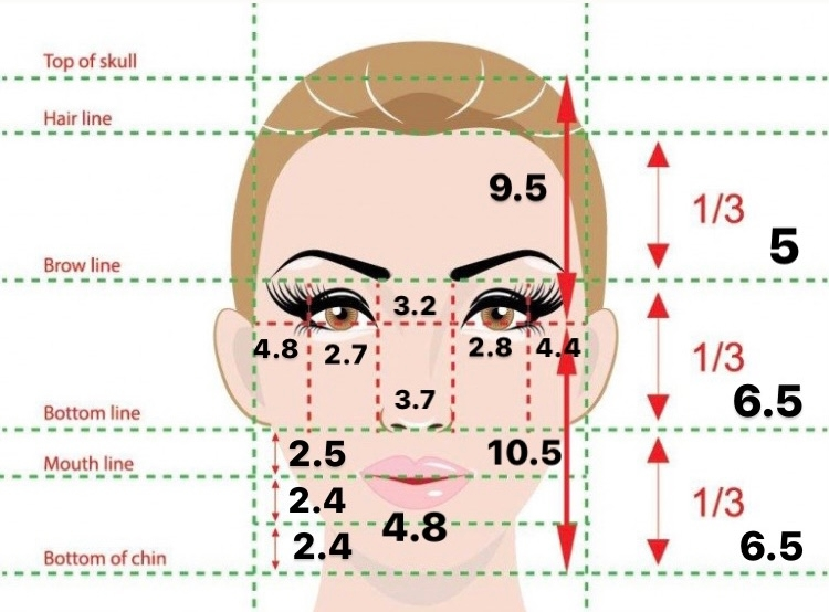 顔の黄金比について 整形を考えています 私の顔の長さを測ってみたら 以下の Yahoo 知恵袋
