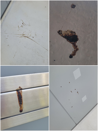 いとこ またいとこ同士で結婚された方に御聞き致します 実際に体 Yahoo 知恵袋