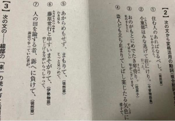 めちゃくちゃしょうもない笑える自由研究のアイデアをください笑 Yahoo 知恵袋
