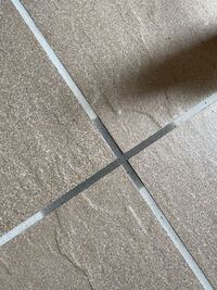 玄関タイルが写真のようにシミになりました D 燃えるゴミや生ゴミ Yahoo 知恵袋