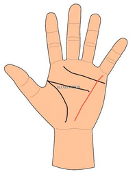 手相に詳しい方にお伺いしたいのですが 下記画像の赤線のような線はどういった Yahoo 知恵袋