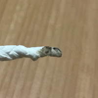 耳垢の黒い粒があるんですけどこれなんですか 中耳炎になったので2 Yahoo 知恵袋