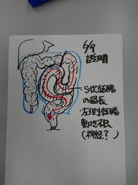 大学病院の大腸肛門外科で Ct検査と レントゲンをしました 肛門痛 肛門違 Yahoo 知恵袋