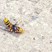 どこか遠くに行きたい 一人になりたい すべてを投げ捨てて 消えてしまいたいとい Yahoo 知恵袋