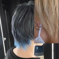 自分は今金髪で 写真の右上の色なのですがこの写真のような青い襟足 Yahoo 知恵袋